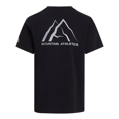 The North Face M MA GRAPHIC REGULAR SHORT SLEEVE TEE-GR Erkek Tişört NF0A8GA4JK31