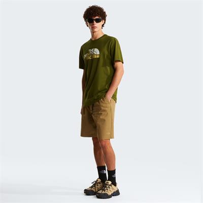 The North Face M MOUNTAIN LINE REGULAR SHORT SLEEVE TEE Erkek Tişört NF0A8GUXBRI1