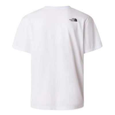 The North Face M MOUNTAIN LOGO RLX SS TEE-GRAPHIC Erkek Tişört NF0A8GUUFN41
