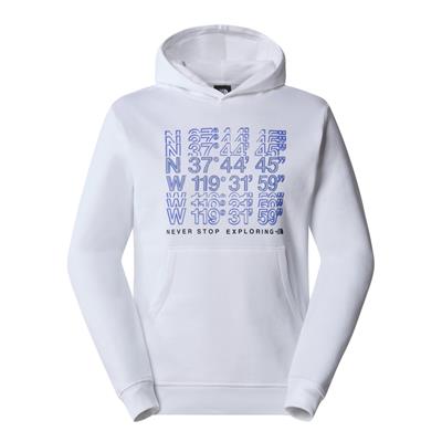 The North Face M SS24 COORDINATES HOODIE Erkek Sweat Shirt NF0A87EAFN41
