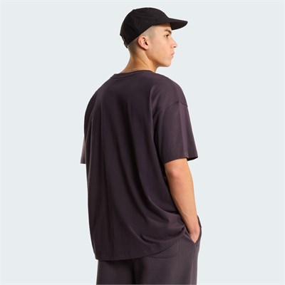 The North Face M TNF Red Box S/S Tee Erkek Tişört NF0A8EG50SA1