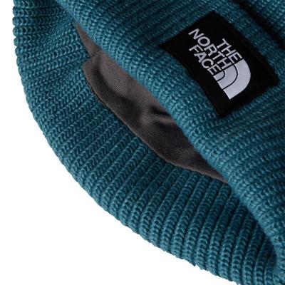 The North Face SALTY LINED BEANIE Unisex Bere NF0A8CGZBQ51
