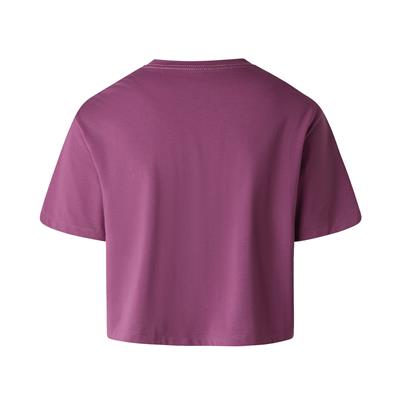 The North Face W EVOLUTION SIMPLE DOME CROP RLX SS TEE Kadın Tişört NF0A8FDHG4Y1
