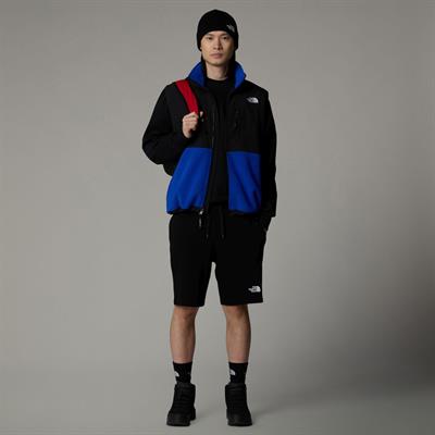 The Northface Erkek GRAPHIC Şort LIGHT-EU NF0A3S4FJK31