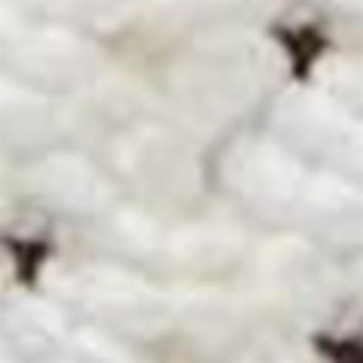 Timberland MOTION ACCESS LOW LACE UP SNEAKER Kadın Ayakkabı TB0A29PPEUR1