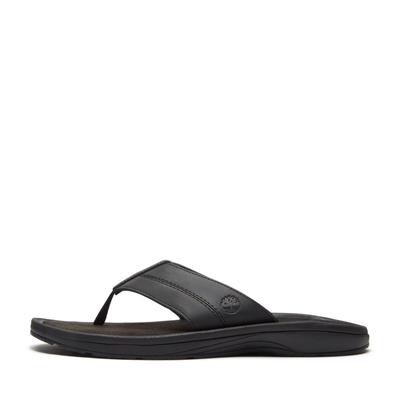 Timberland Originals SLIDE SANDAL Erkek Terlik TB0A2R4EENR1