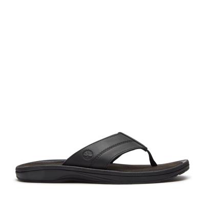 Timberland Originals SLIDE SANDAL Erkek Terlik TB0A2R4EENR1