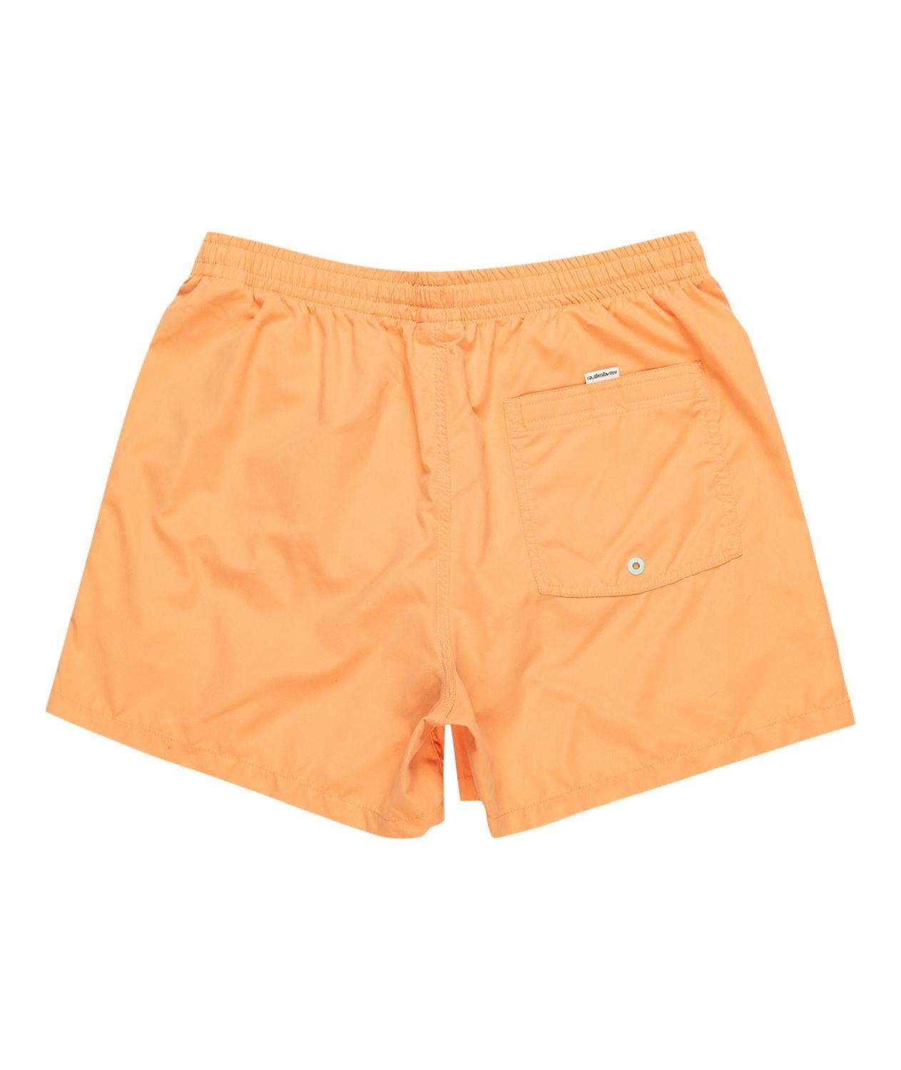 Quıksılver BEHIND WAVES Erkek Şort EQYJV04061-QK.NJF0