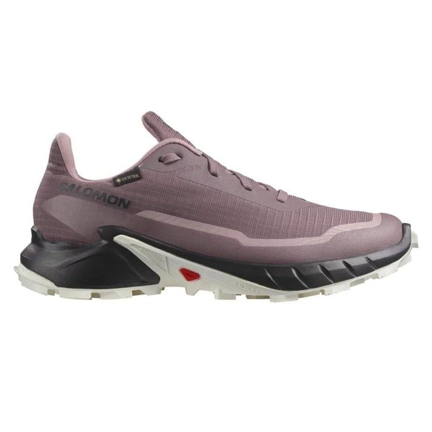 Salomon  ALPHACROSS 5 GTX W Erkek Koşu Ayakkabısı L47311000