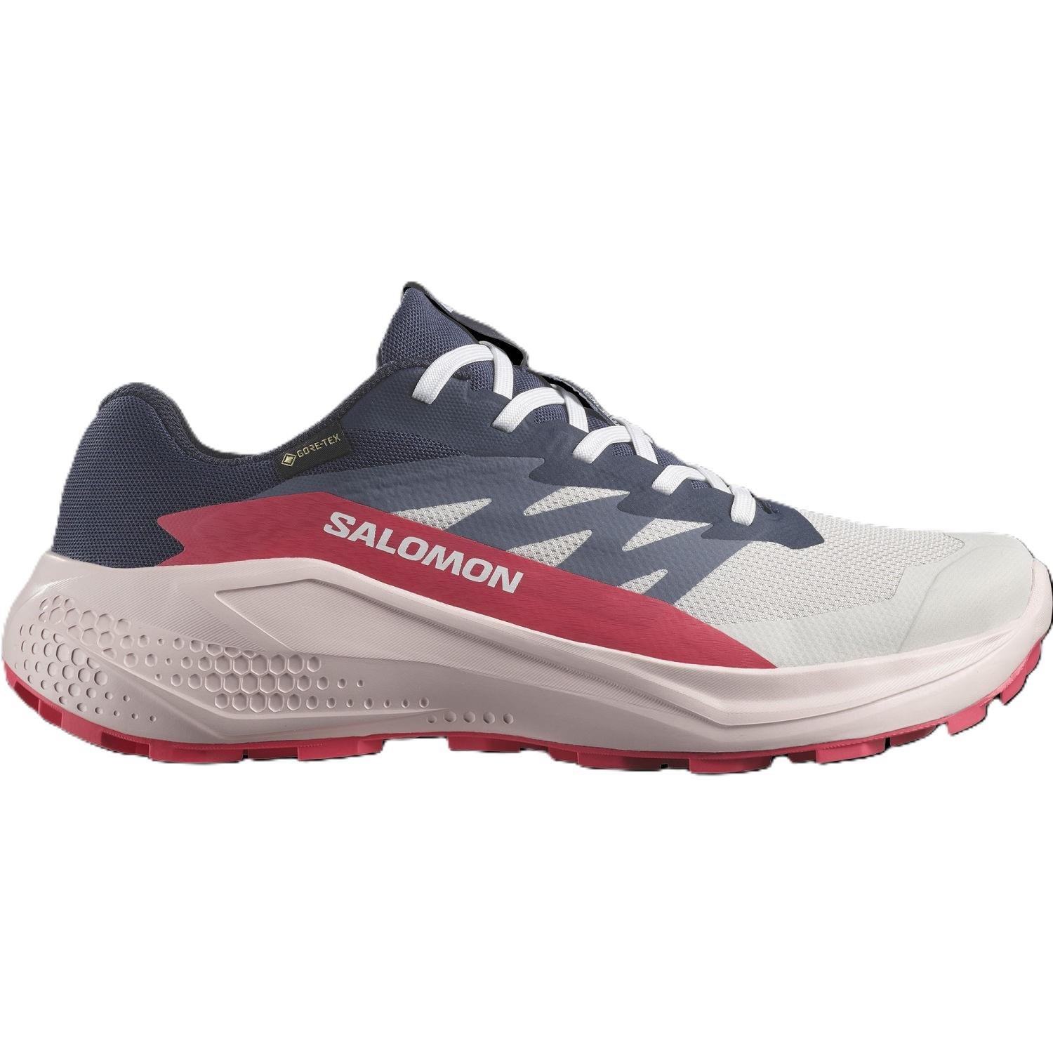 Salomon ALPHAGLIDE GORE-TEX Kadın Ayakkabısı L47802300