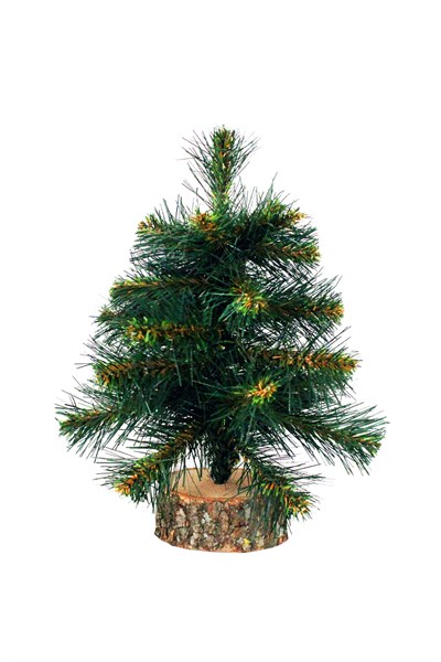 Waldern 30 cm Kütüklü Yılbaşı Çam Ağacı
