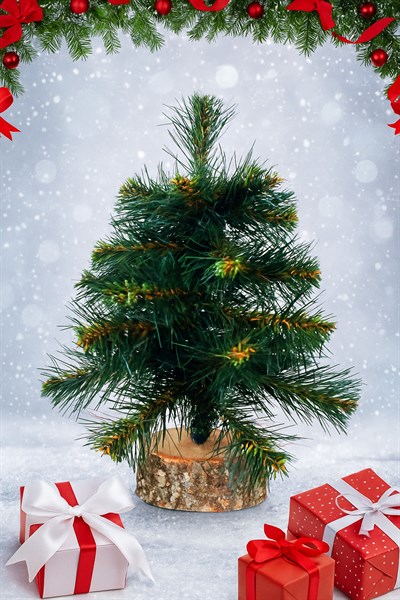 Waldern 30 cm Kütüklü Yılbaşı Çam Ağacı