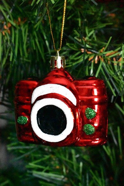 Waldern Premium Collection 4lü Fotoğraf Makinesı Yılbaşı Süs