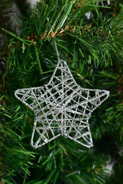 Waldern Premium Collection 6lı Yıldız Yılbaşı Süs Kırmızı-Gümüş-Altın Set