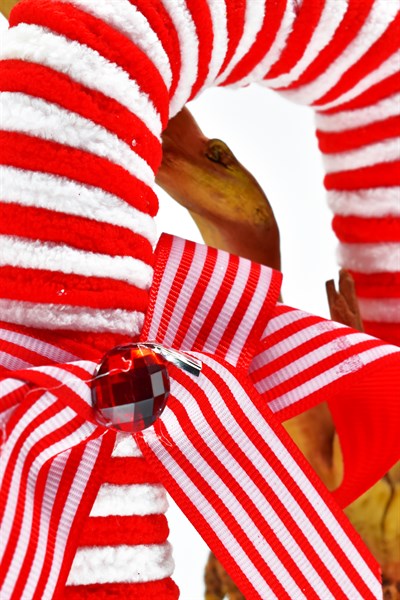 Waldern Premium Collection Luxury 2li Şeker Kamışı Süs Dekoratif Yılbaşı Süsü 18Cm