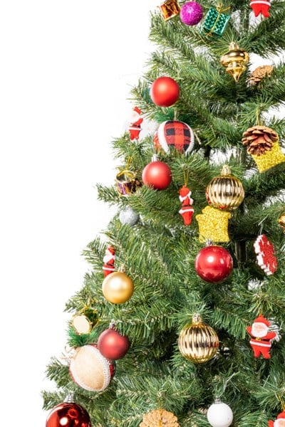 Waldern Premium Luxury Series 150 Cm Yılbaşı Çam Ağacı