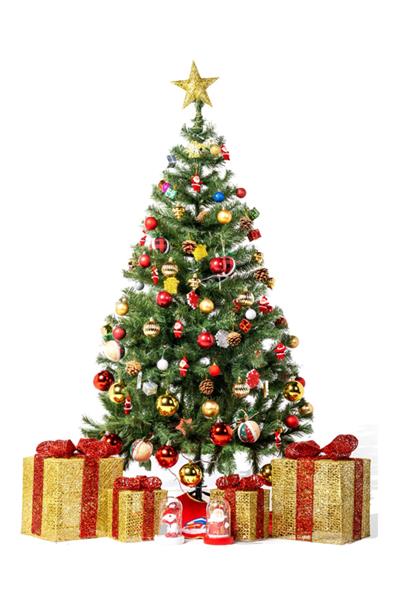 Waldern Premium Luxury Series 150 Cm Yılbaşı Çam Ağacı