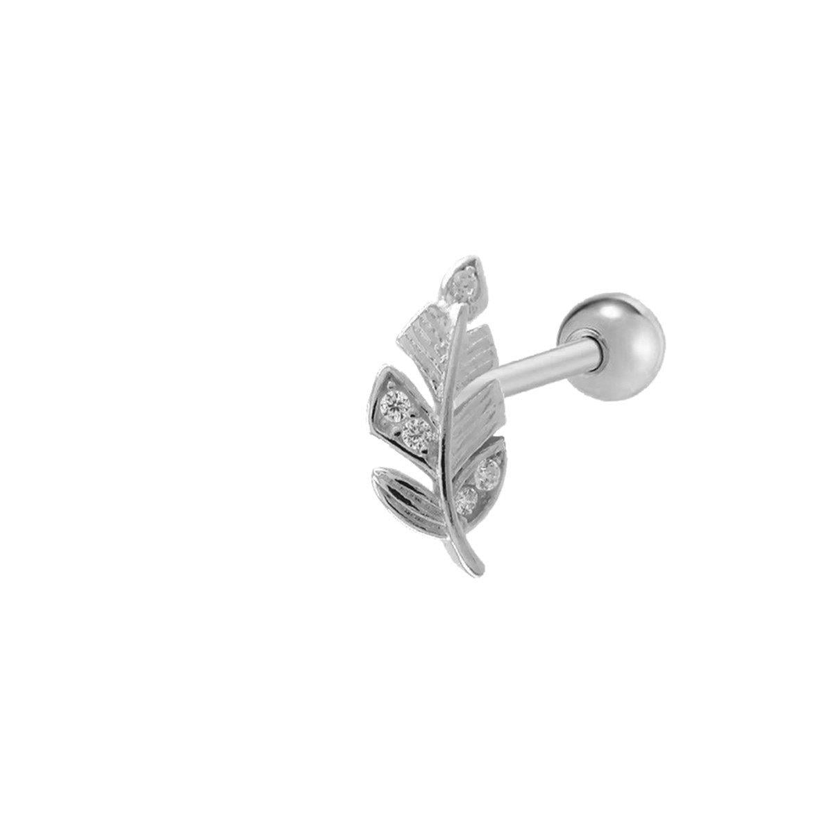 TÜY TRAGUS