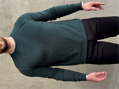 Erkek Business Collection Regular Kalıp Bisiklet Yaka Reglan Kol Triko Kazak-Yeşil(E1859)