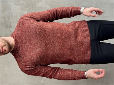 Erkek Business Collection Regular Kalıp Bisiklet Yaka Reglan Kol Triko Kazak-Kiremit(E1890)