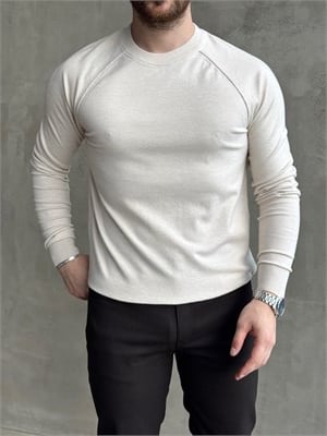 Erkek Business Collection Regular Kalıp Bisiklet Yaka Reglan Kol Triko Kazak-Taş(E1859)