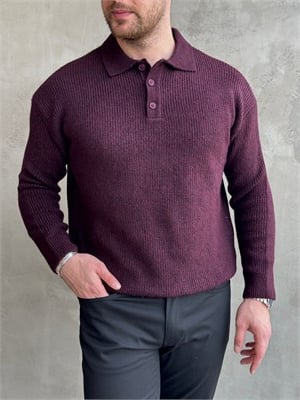 Erkek Elit Kalite Regular Kalıp Düğme Detaylı Polo Yaka Triko Kazak-Bordo(E1886)