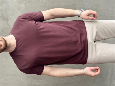 Erkek Özel Premium Seri Regular Fit Bisiklet Yaka Modal Kumaş Düz T-Shirt-Bordo(E1680)