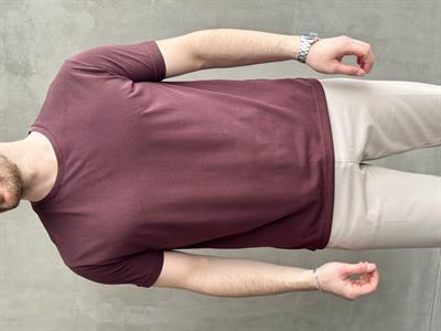 Erkek Özel Premium Seri Regular Fit Bisiklet Yaka Modal Kumaş Düz T-Shirt-Bordo(E1680)