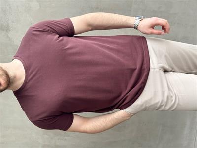 Erkek Özel Premium Seri Regular Fit Bisiklet Yaka Modal Kumaş Düz T-Shirt-Bordo(E1680)Ketench