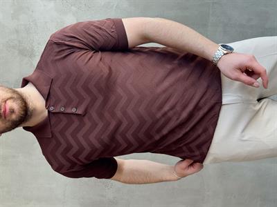 Erkek Özel Premium Seri Regular Fit Desenli Düğme Detay Polo Yaka Triko T-Shirt-Kahverengi(E1658)