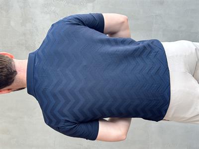 Erkek Özel Premium Seri Regular Fit Desenli Düğme Detay Polo Yaka Triko T-Shirt-Lacivert(E1658)