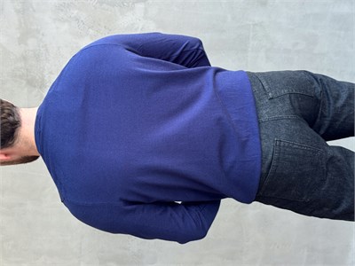 Erkek Trend Model Regular Fit Bisiklet Yaka Ribana Detay İnce Triko Kazak-Lacivert(E1808)