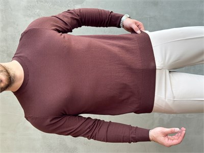 Erkek Trend Model Regular Fit Bisiklet Yaka Ribana Detay İnce Triko Kazak-Kahverengi(E1808)