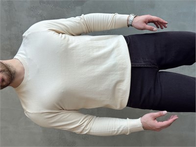 Erkek Trend Model Regular Fit Bisiklet Yaka Ribana Detay İnce Triko Kazak-Bej(E1808)