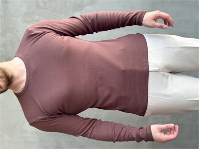 Erkek Yeni Sezon Regular Fit Bisiklet Yaka Uzun Kollu T-Shirt-Kahverengi(E1794)