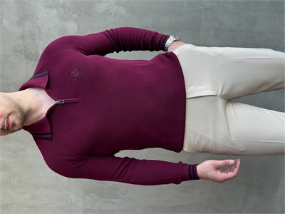Erkek Yeni Sezon Regular Fit Fermuarlı Yaka Çizgi Detaylı Triko Kazak-Bordo(E1791)