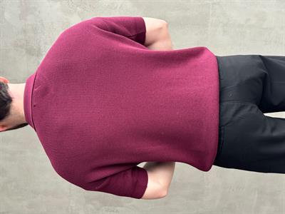 Erkek Yüksek Kalite Oversize Kalıp Fermuar Detaylı Polo Yaka Triko T-Shirt-Bordo(E1610)