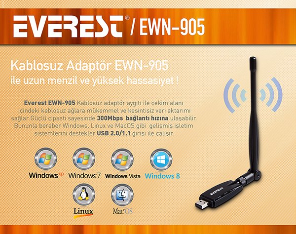 Everest EWN-905 300 Mbps USB Kablosuz Adaptör