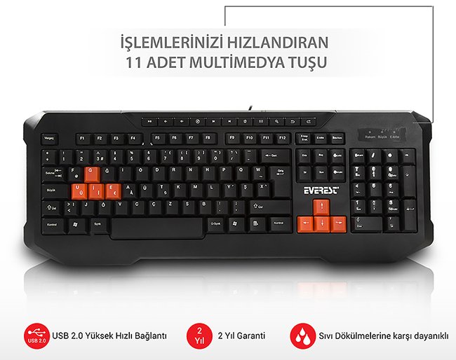 Everest KB-961F Siyah Usb Türkçe Tuşlu F Multimedia Klavye