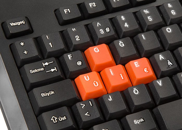 Everest KB-961F Siyah Usb Türkçe Tuşlu F Multimedia Klavye
