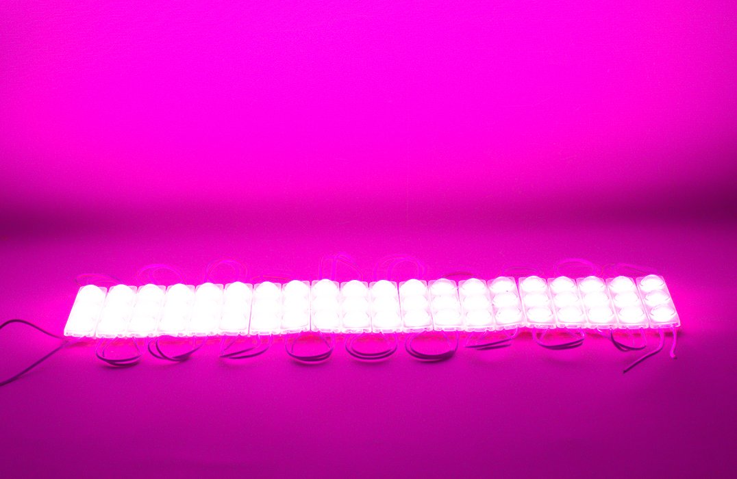 Powermaster 12 Volt 1.5 Watt Pembe 2835 69 X 16 Mm IP65 160 – 180 Lümen Modül Led
