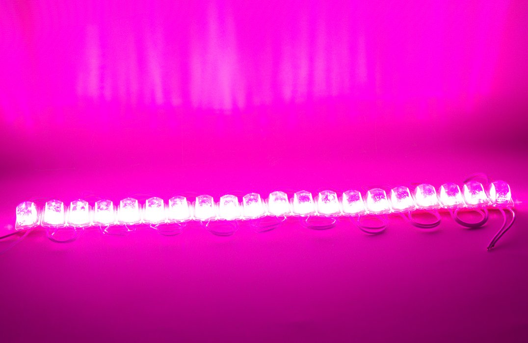 Powermaster 12 Volt 1.5 Watt Pembe 2835 85 X 73 Mm IP65 240 – 260 Lümen 180 Derece Modül Led