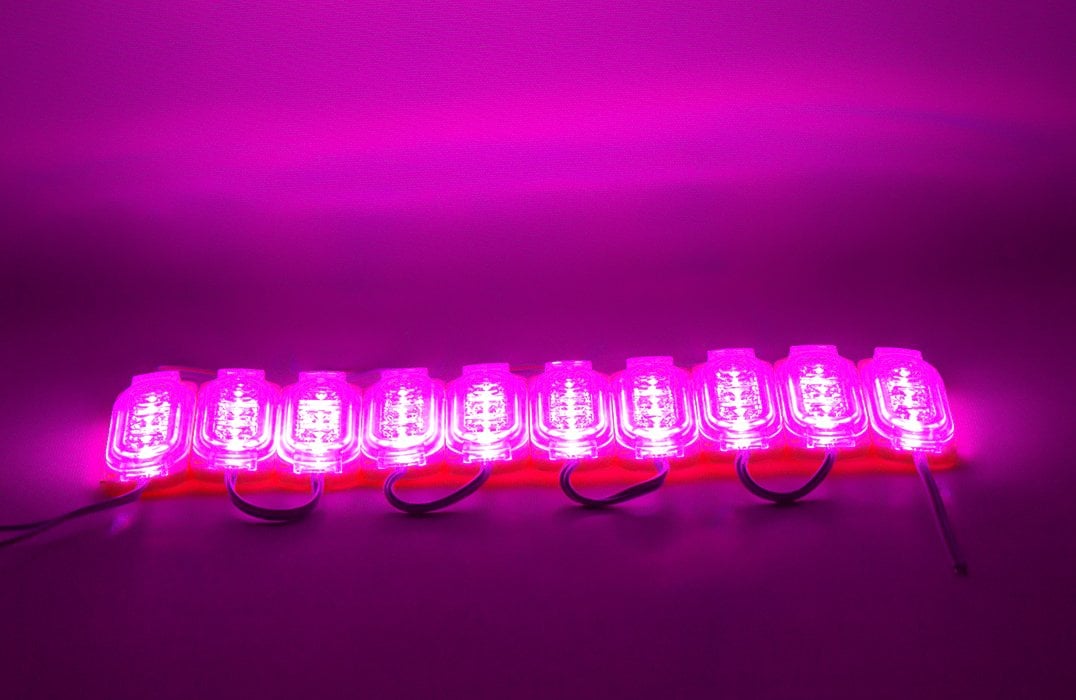 Powermaster 12 Volt 0.6 Watt Pembe 2835 65 X 25 Mm IP65 120 Lümen 160 Derece Modül Led