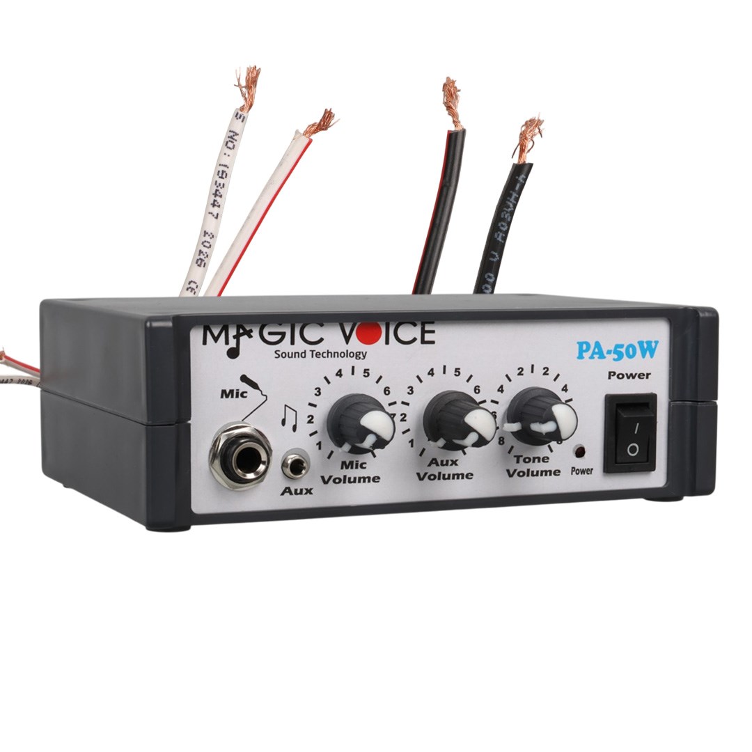 12 Volt 40 Watt Mini Metal Kasa Pazarcı Anfisi Fiyatı - Merter Elektronik