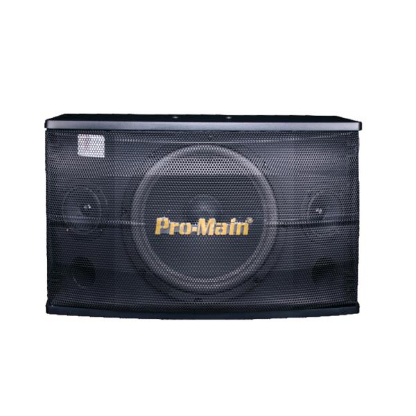 PROMAIN MA-102 500*285*298MM 200 WATT 8 OHM AHŞAP PASİF HOPARLÖR