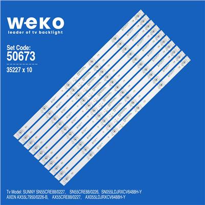 axen-ax055ldjrxcv6488h-y-55-