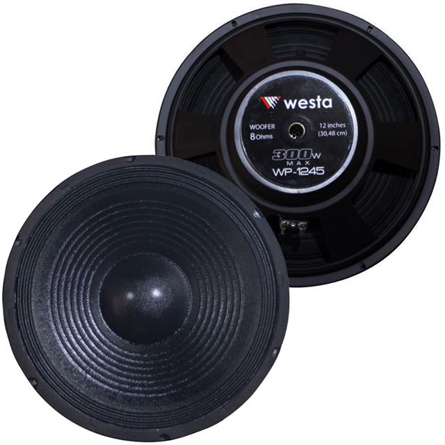 Westa WP-1245 12 inc 300 Watt Hoparlör Fiyatı - Merter Elektronik