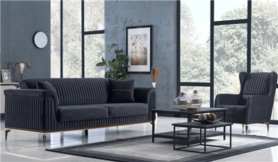 Aras Koltuk Takımı (Web)