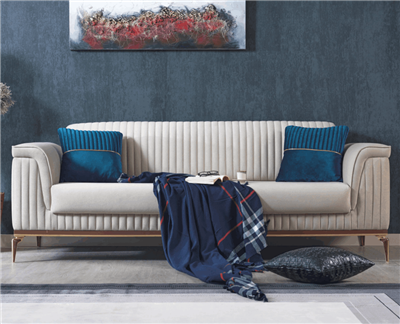 Aras Koltuk Takımı (Web)