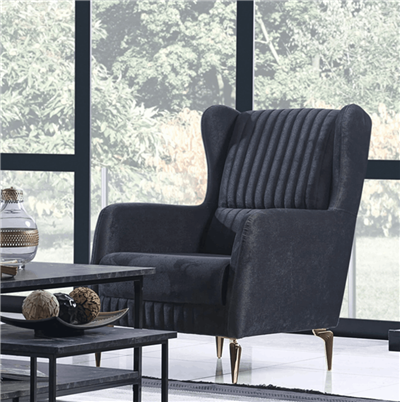 Aras Koltuk Takımı (Web)